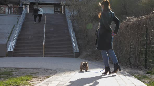 Lady in Medical Mask Holds Leash and Walks with Cute Puppy