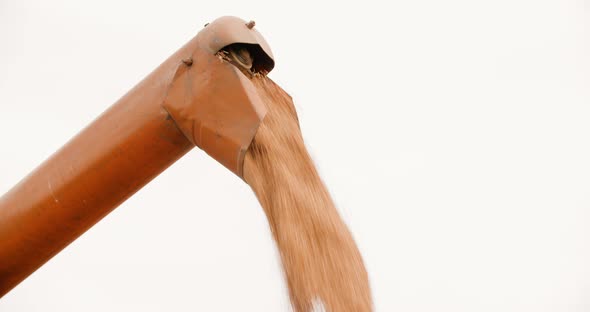 Harvester Unloading Grains Against Sky