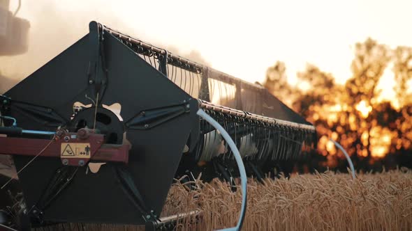 Wheat Harvest Concept