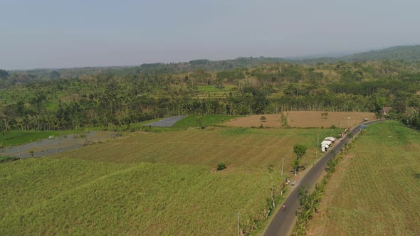 Agricultural Landscape in Asia