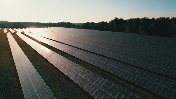 Aerial View of Solar Farm on the Green Field at Sunset Time Solar Panels in Row