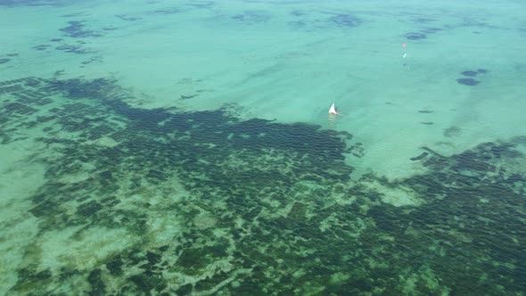 Boats in the Ocean Near the Coast of Zanzibar Tanzania Slow Motion