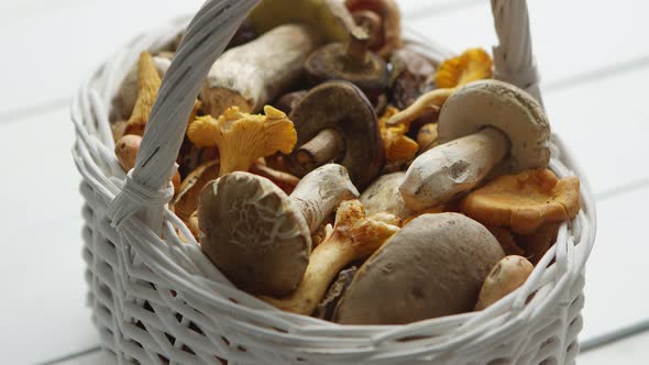 Basket with Different Kind of Forest Mushrooms on a White Wooden Background.