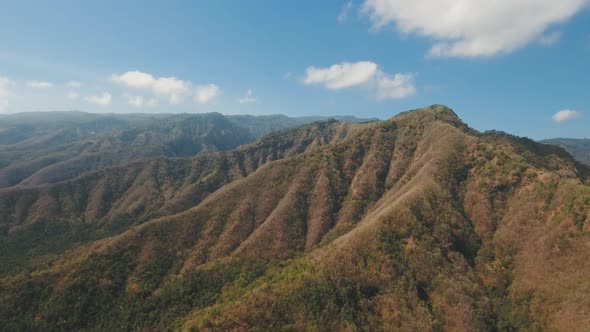 View of Mountain Forest Landscape