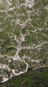 Tanzania  Coast of Zanzibar Island Covered with Thickets Slow Motion