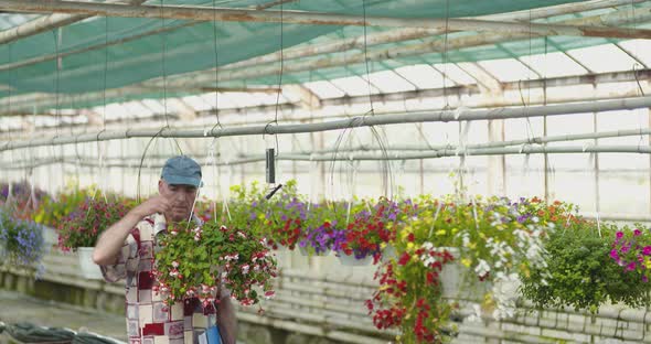 Researcher Examining Potted Plant At Greenhouse