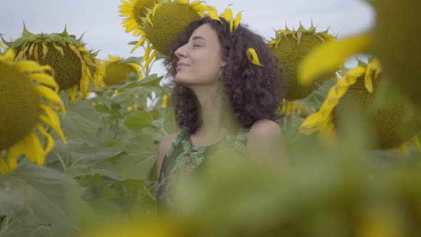 Portrait of Adorable Fun Curly Playful Sensual Woman Standing in the Sunflower Field