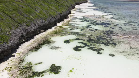 Shore of Zanzibar Island Tanzania at Low Tide