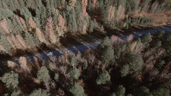 Closeup road with traffic cars between autumn forest in Ural