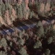 Closeup road with traffic cars between autumn forest in Ural - VideoHive Item for Sale