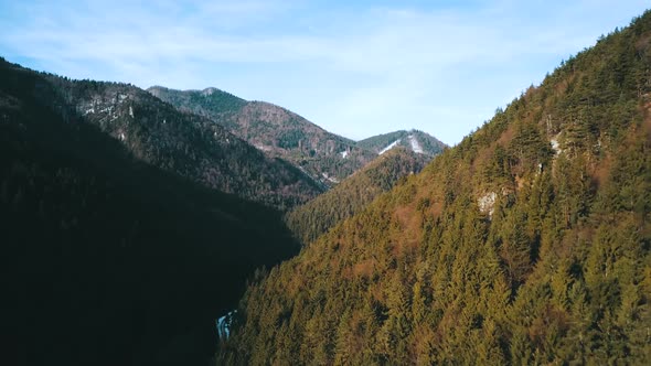 Drone shot over pine tree forest and mountains in Europe