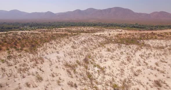 Scattered Trees and Green Patch