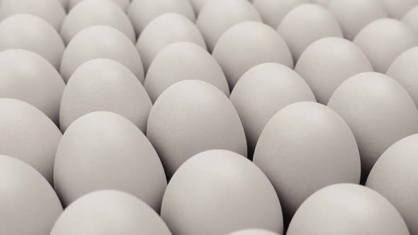 Passing Many Plain White Eggs