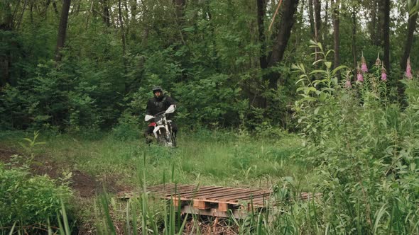 Motorcyclists Riding through Green Forest