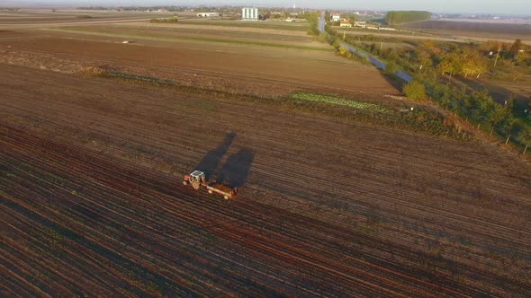 Agriculture On A Farm Field