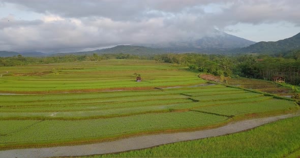 Aerial view of terraced rice fields with a cloud-covered mountain in the background in Magelang, Ind