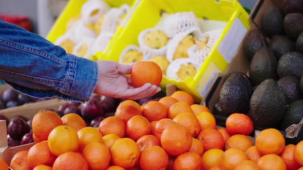 In Front of the Camera Fresh Vegetables Shop