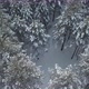 Skier Through The Forest - VideoHive Item for Sale