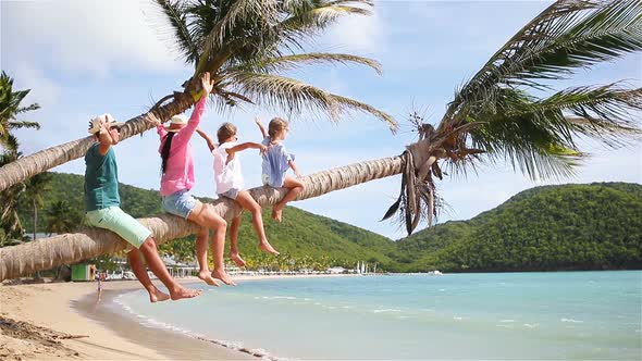 Young Family on Vacation Have a Lot of Fun on Palmtree