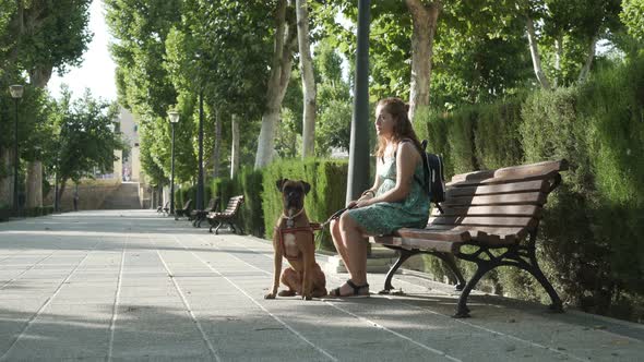 Young woman With A Dog Sits On A Bench