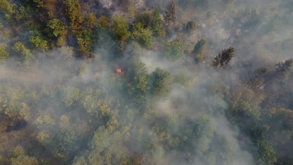 Fire in the forest aerial view. Cinematic aerial shot fire in the forest.