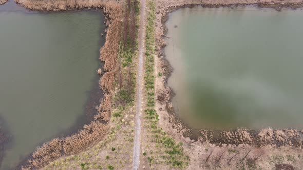 Aerial Wetland