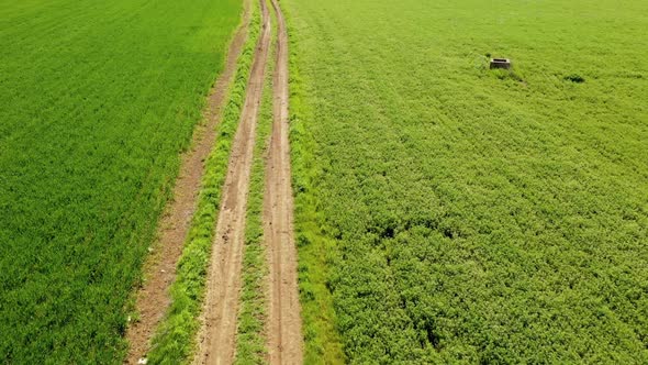 Aerial View of Road Through Field