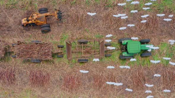 Sugar cane harvesting machinery. Aerial top-down