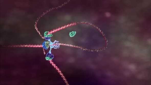 DNA attack of the virus 4896.mov alt