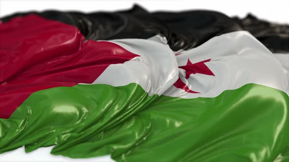 Western Sahara Flag On A White Chalkboard  alt