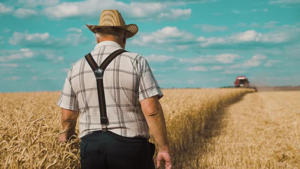 The Adult Agricultural Boss Farmer in Golden Wheat Field