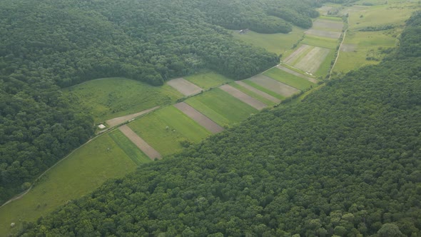 Aerial View of Farm Fields the Forests and Blue Sky