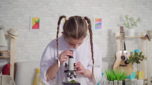 Portrait of Teenage Girl Looking Through a Microscope a School Project