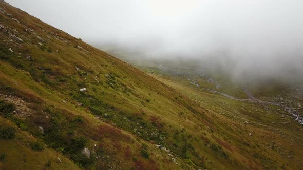 Clean Stream Flowing of Green Ayder Plateau in Rize, Turkey