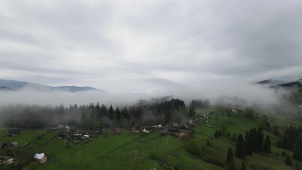 Ukraine, Carpathian Mountains: Beautiful Mountain Forest Landscape. Aerial