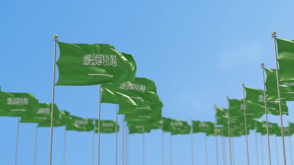 Saudi Arabia Row Of Flags Animation