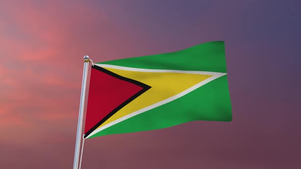 Flag Of Guyana Waving