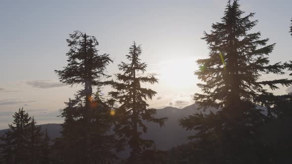 Colorful Sunset Over the Tree Top on the Mountain