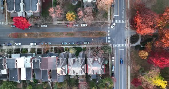 Slow motion top down aerial of traffic at intersection. Colorful fall foliage leaves in autumn. Larg
