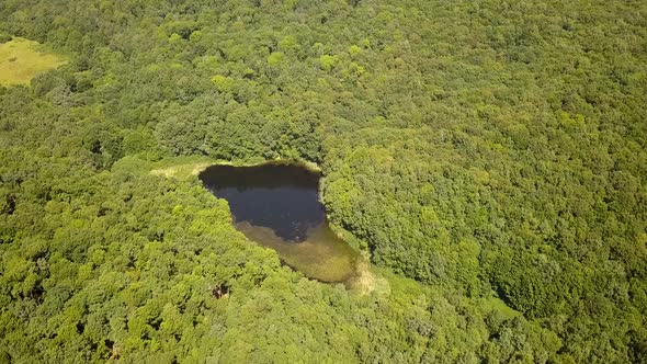 Aerial view of a small forest lake in the middle of green dense woods in summer. alt