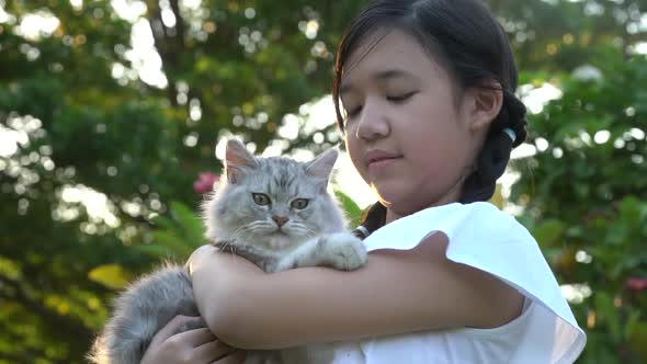 Beautiful Asian Girl Holding Lovely Persian Cat With Sunshine In The Park