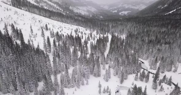 Aerial: Winter landscape in Tatras mountains