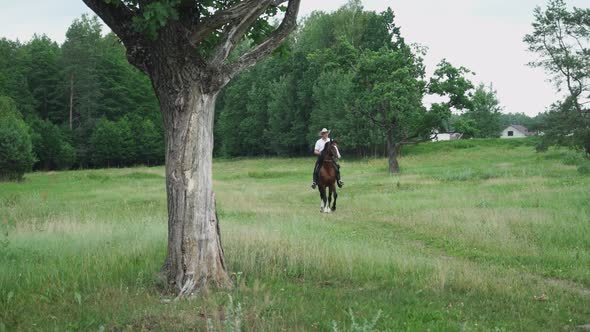 Cowboy in a Hat Rides a Horse in a Clearing Near the Forest Walk on Horseback Man Moves on a Horse