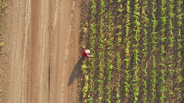 Smart Farming