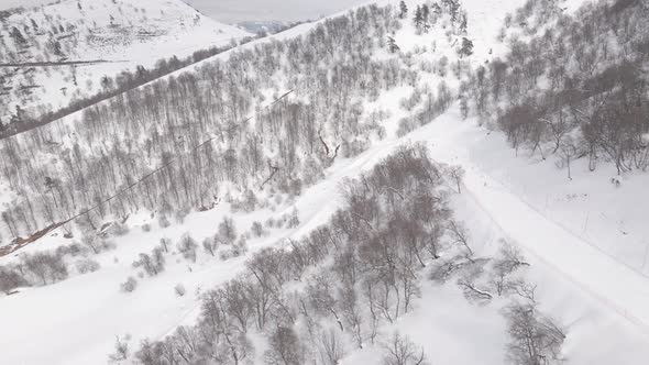 Aerial view of the ski resort with snowy mountain slopes and winter trees. 