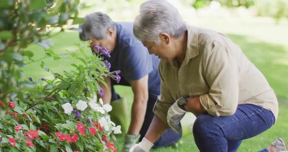 Video of happy biracial senior couple taking care of plants in garden