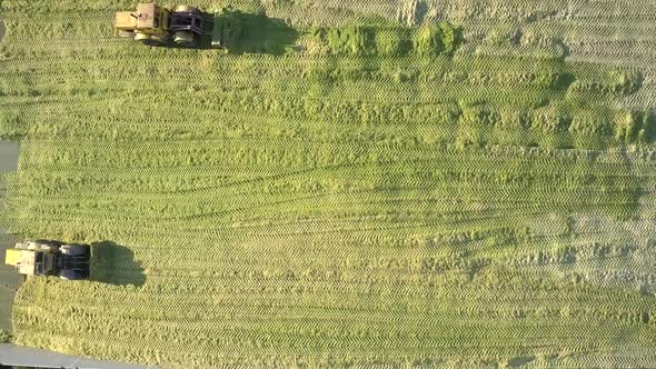 Vertical View Special Bulldozers Tamp Corn Silage in Pit