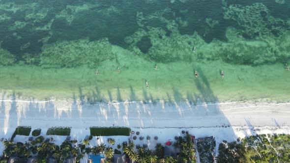 Beach on Zanzibar Island Tanzania Slow Motion