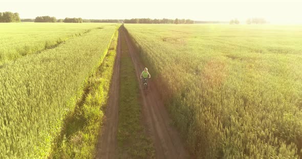 Aerial View on Young Boy, That Rides a Bicycle Thru a Wheat Grass Field on the Old Rural Road