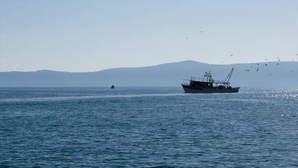 Fishing Boat On Blue Sea With Seagulls Flying Above